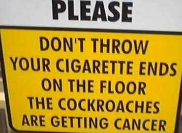 roaches.jpg